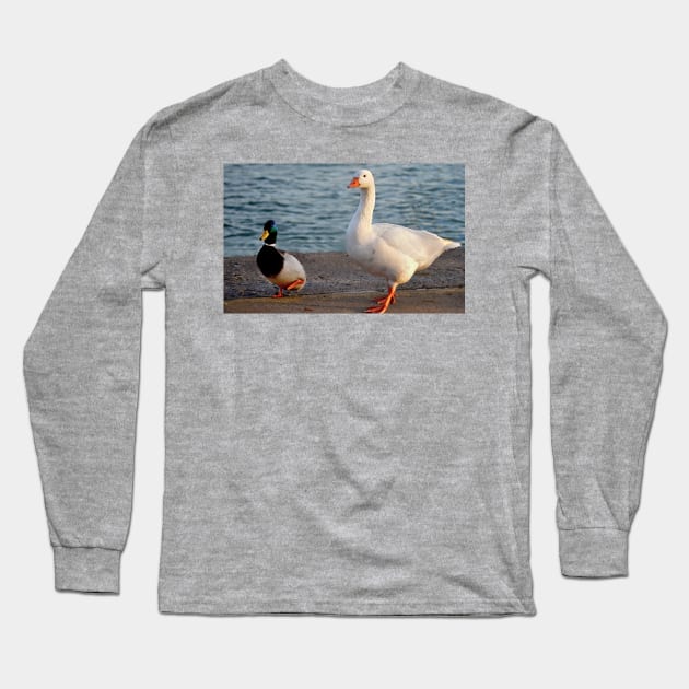 Friends Long Sleeve T-Shirt by LaurieMinor